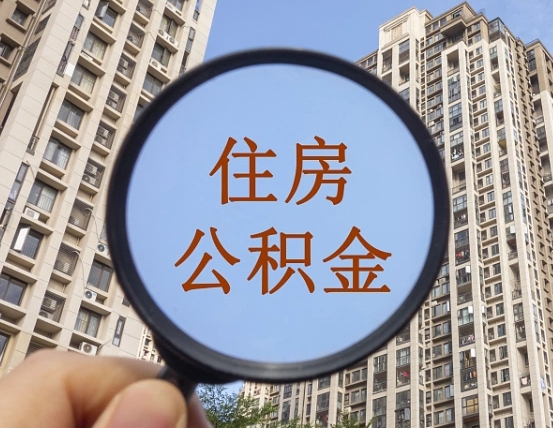 东方退休后查不到公积金明细了吗（退休后公积金查询不到原因）